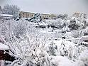 NEIGE 12-02-2010